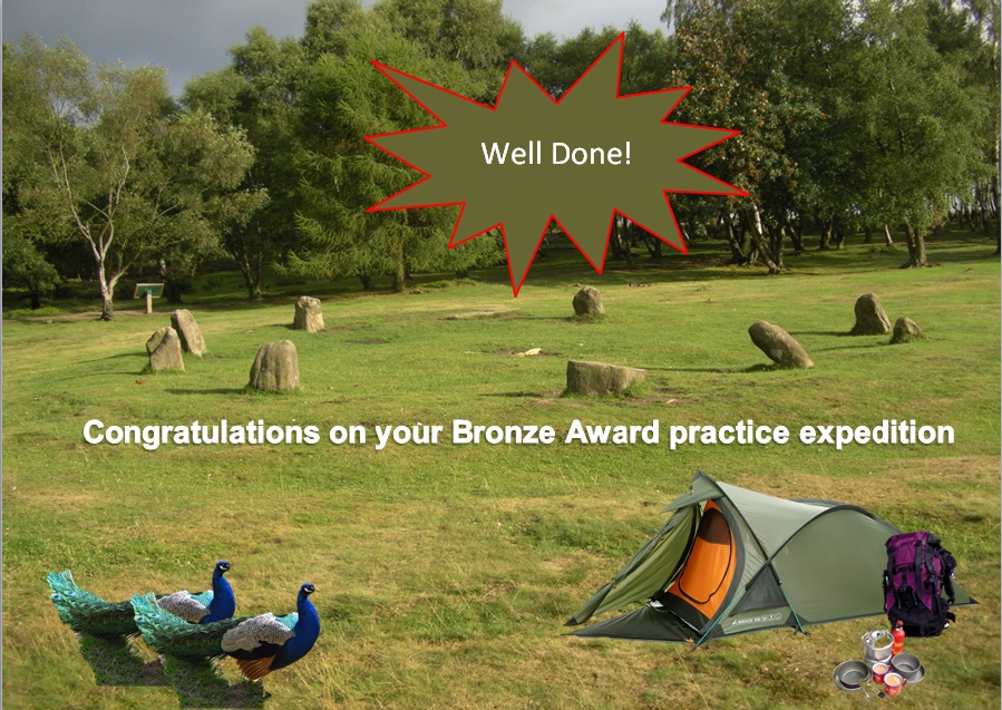  bronze congratulations poster