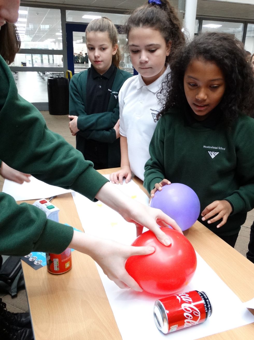  science fair 2018
