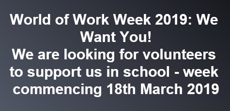  World of Work Week volunteers