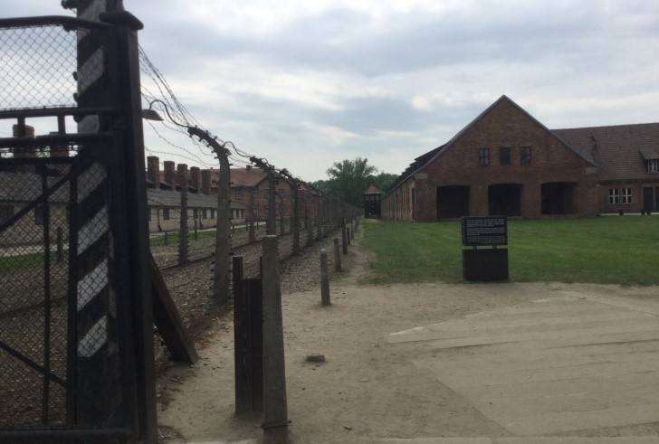  Auschwitz article