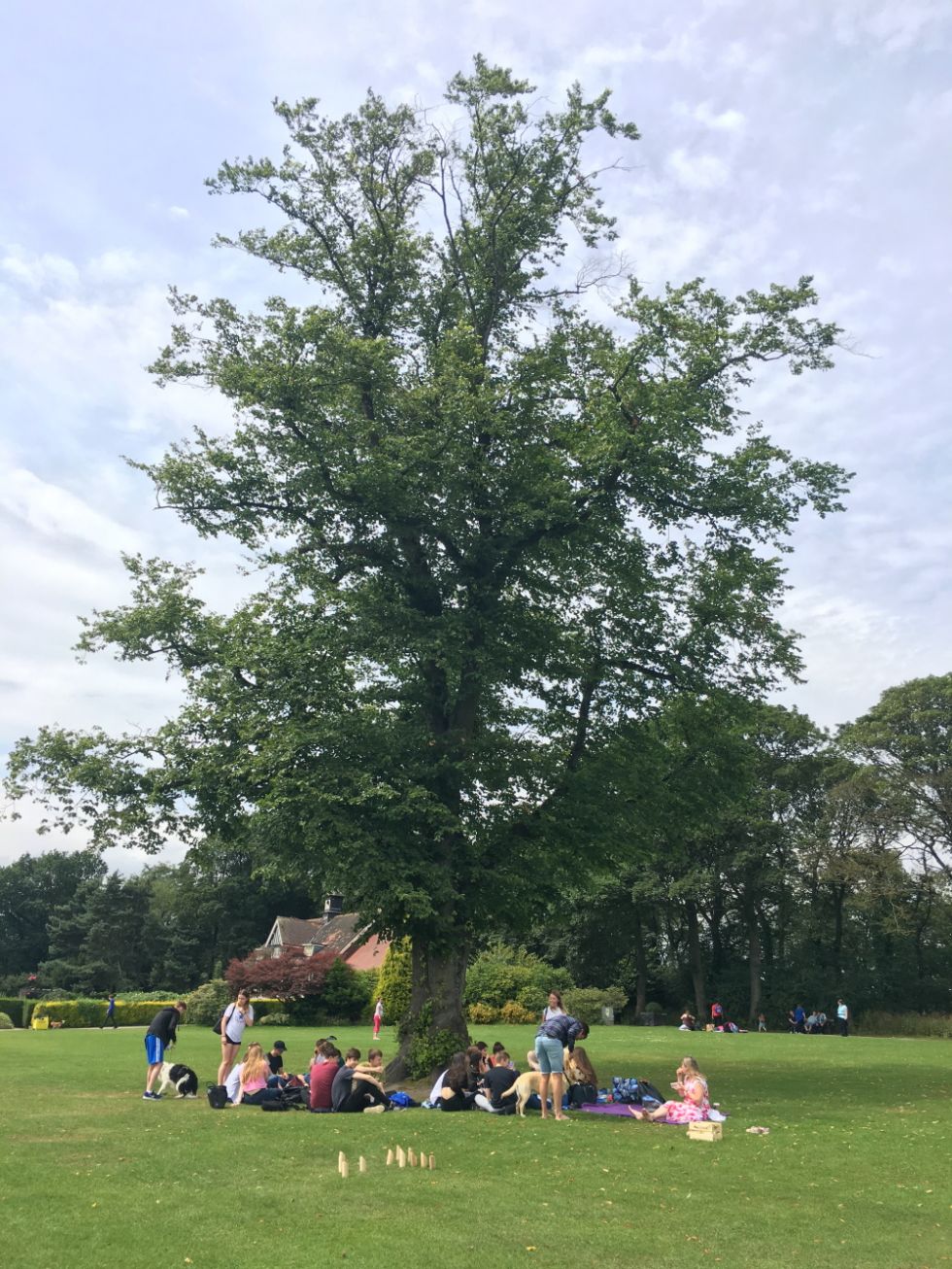  park picnic