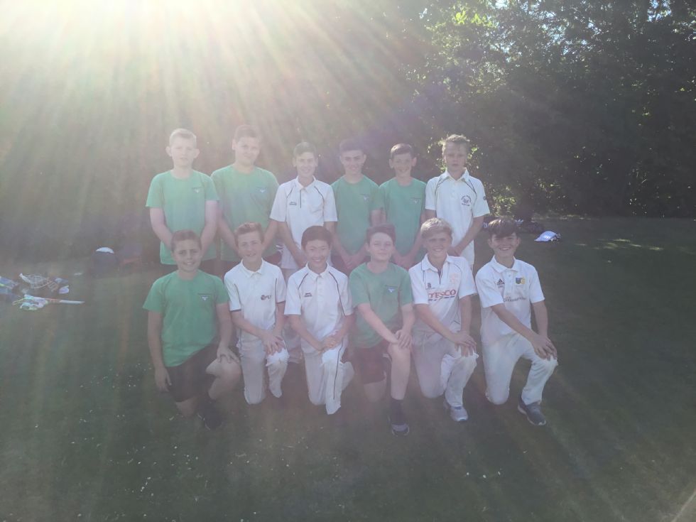  y7 cricket