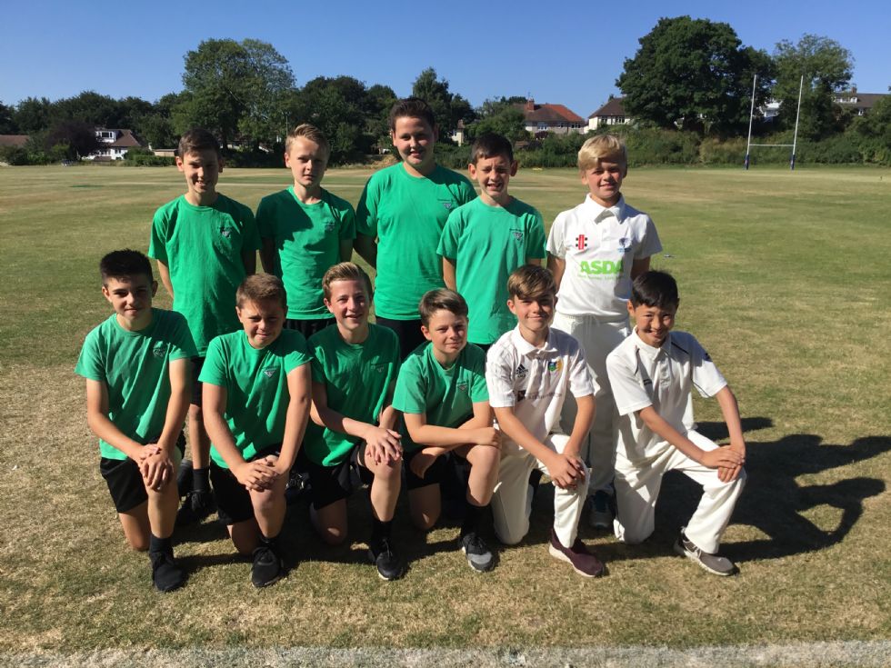 y7 cricket 