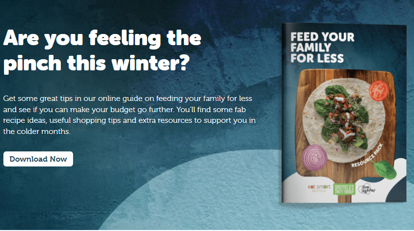 feed your family for less recipes