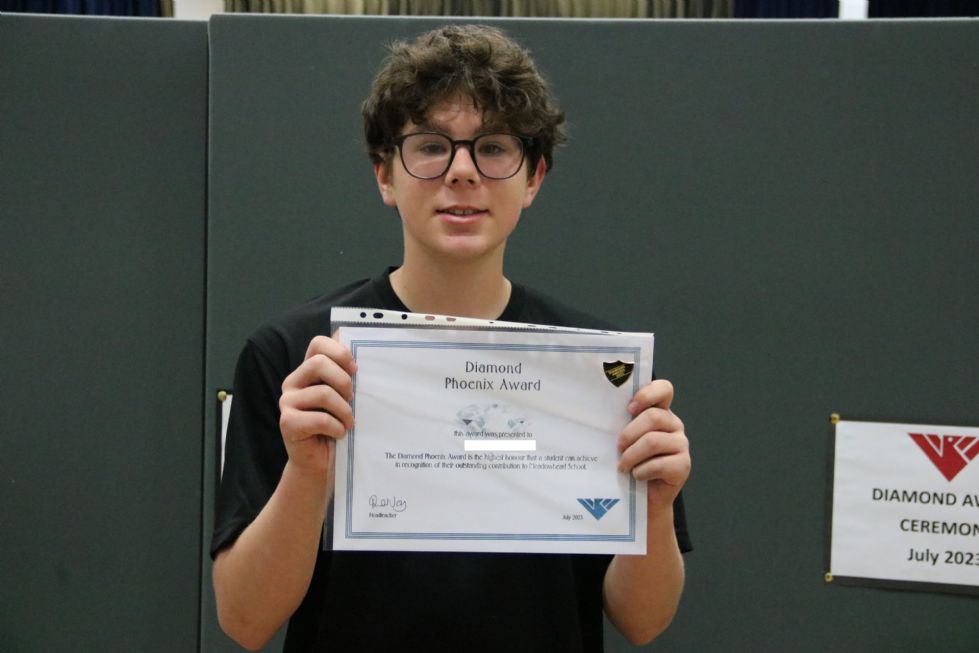 Diamond award recipient