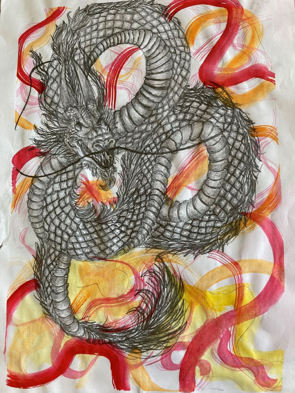an illustration of a dragon