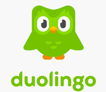 duolingo app