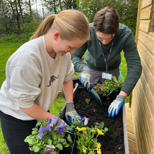 Next Gen Leaders plant flowers