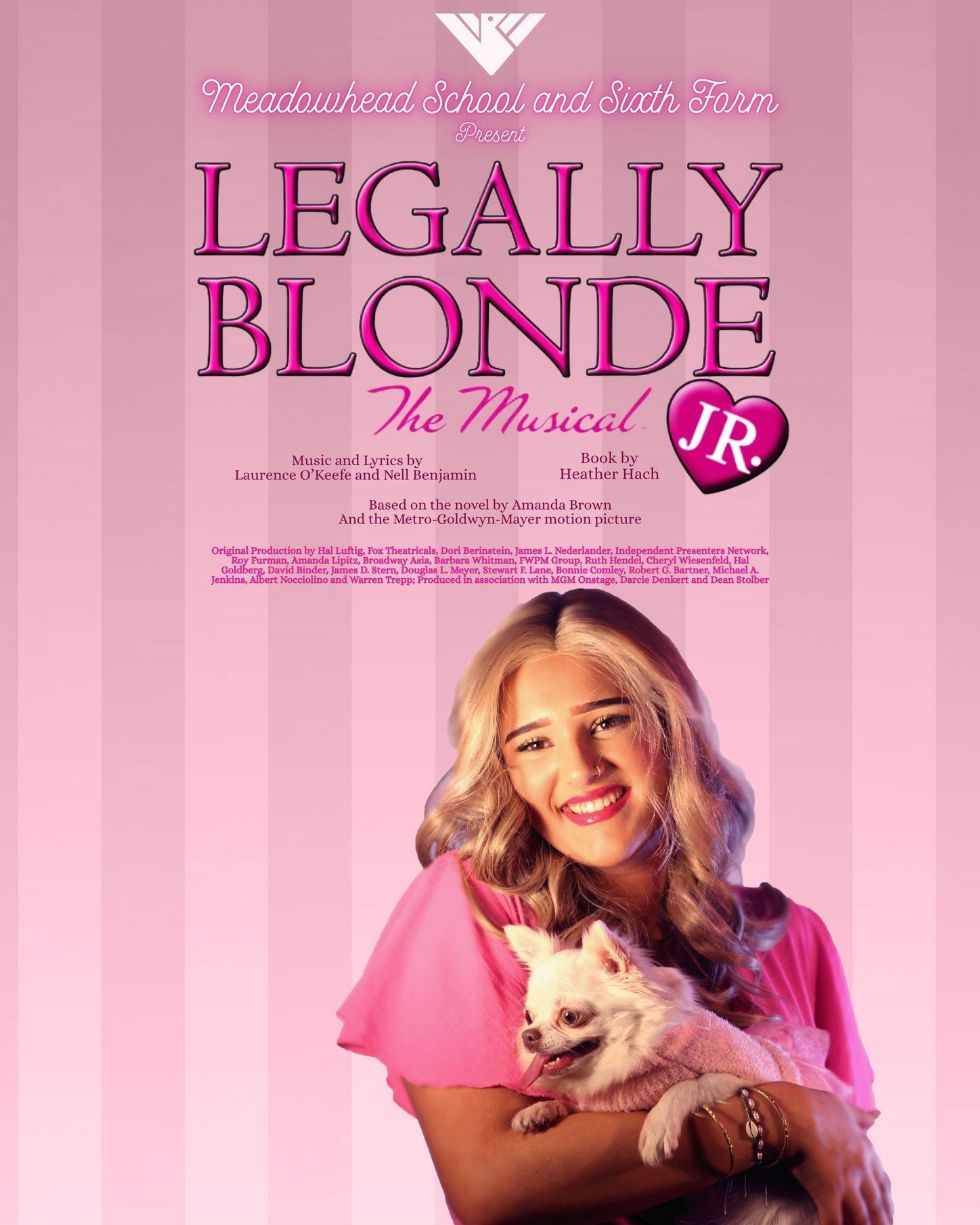 legally blond poster