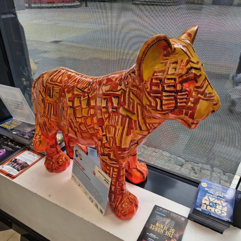 picture showing our Pride of Yorkshire Lion cub in a window