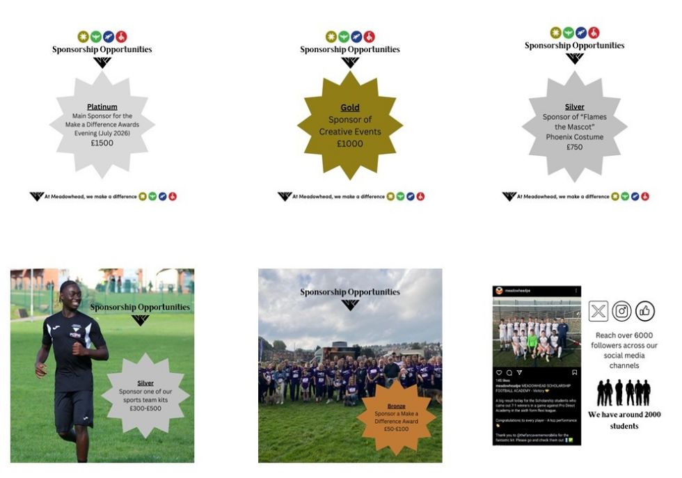 image showing different levels of sponsorship