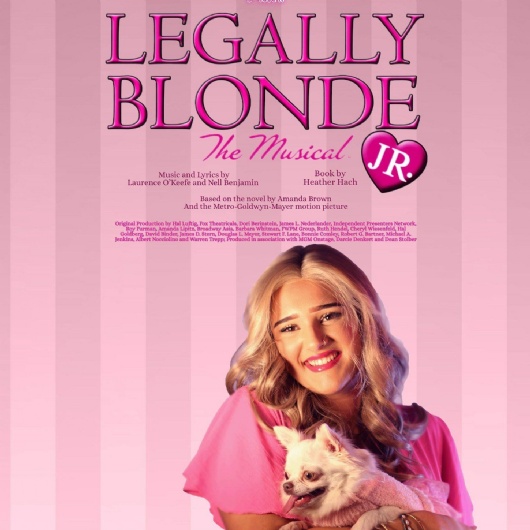 student on a poster for legally blond jr
