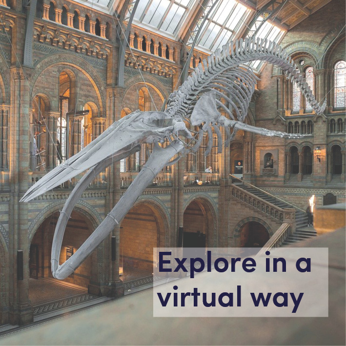 explore virtually