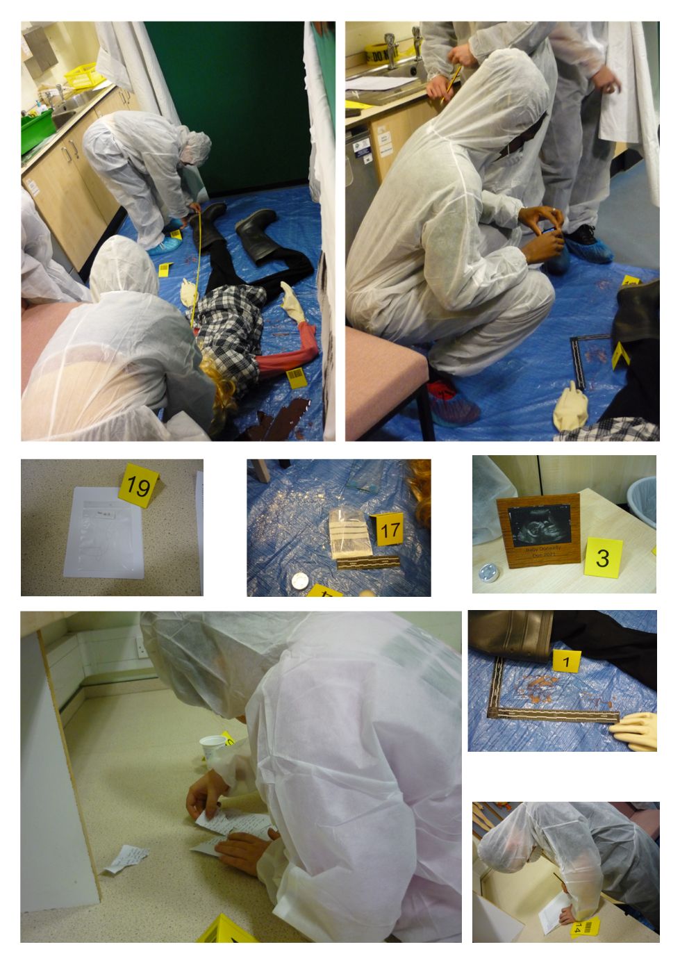 y12 forensic lesson