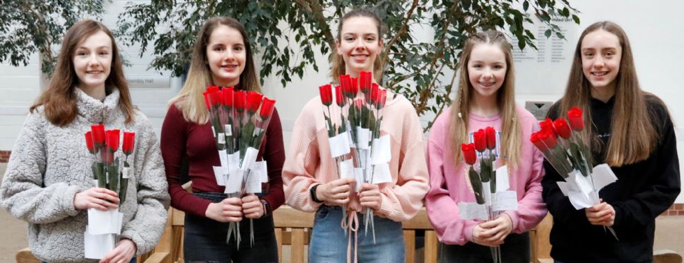 Valentine's day roses sale