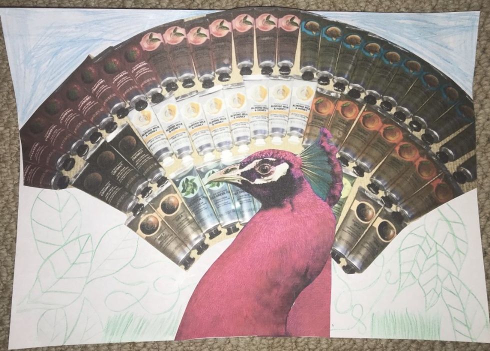 peacock art project