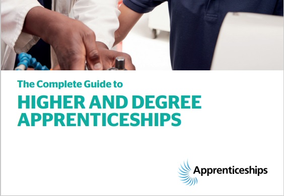 higher and degree apprenticeships